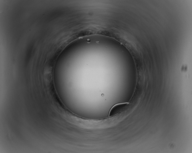 X0000101140034200807071136