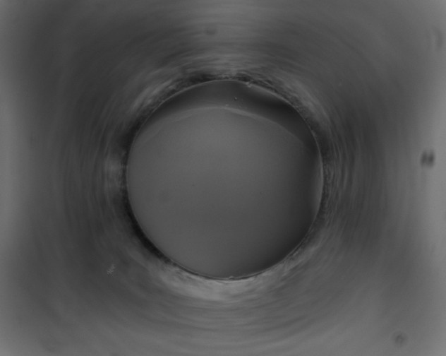 X0000101140035200807071136