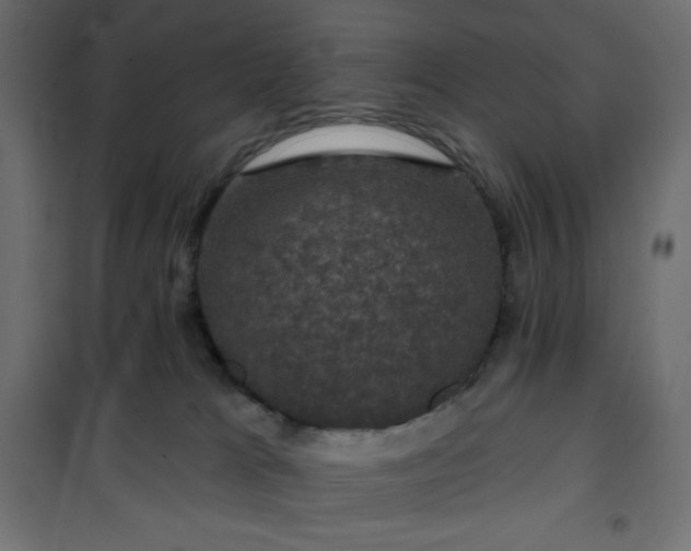 X0000101140037200807071136