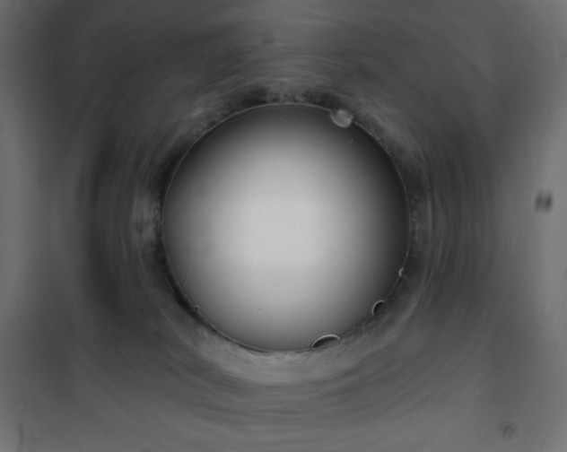 X0000101140038200807071136