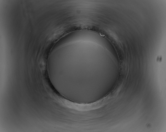 X0000101140039200807071136