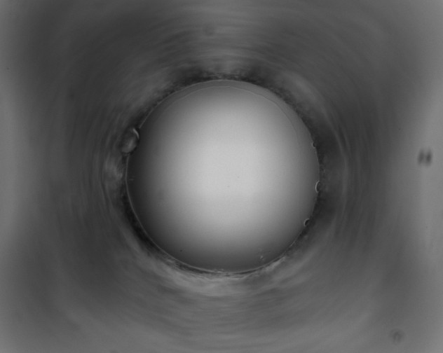 X0000101140040200807071136