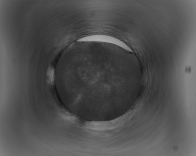 X0000101140041200807071136