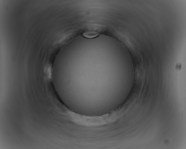 X0000101140042200807071136