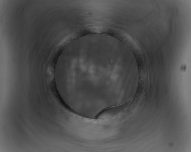 X0000101140043200807071136