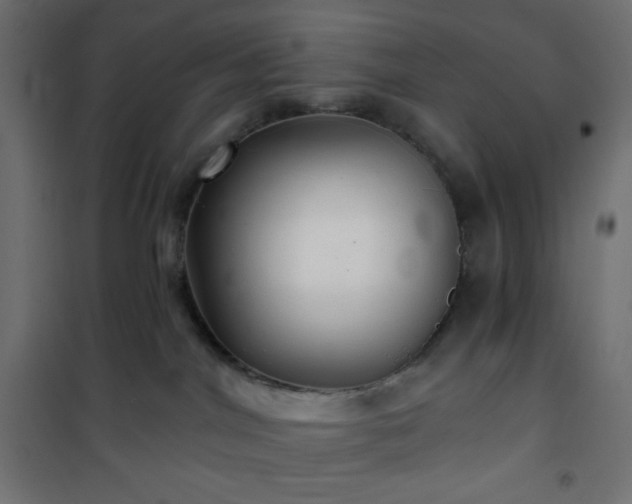 X0000101140044200807071136