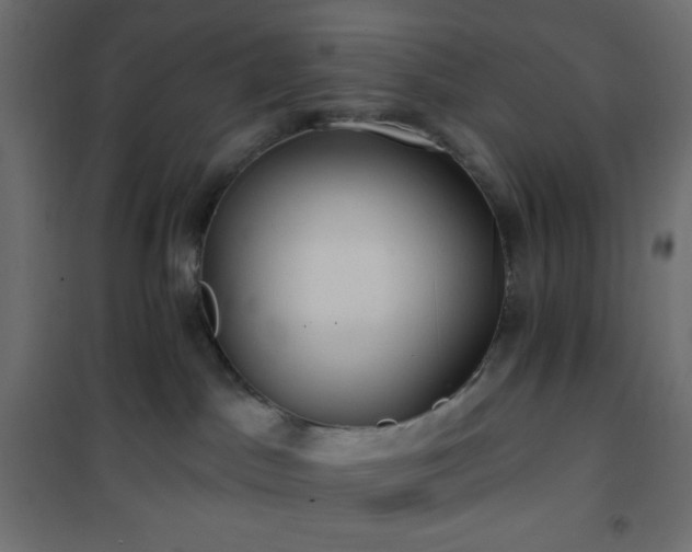 X0000101140045200807071136