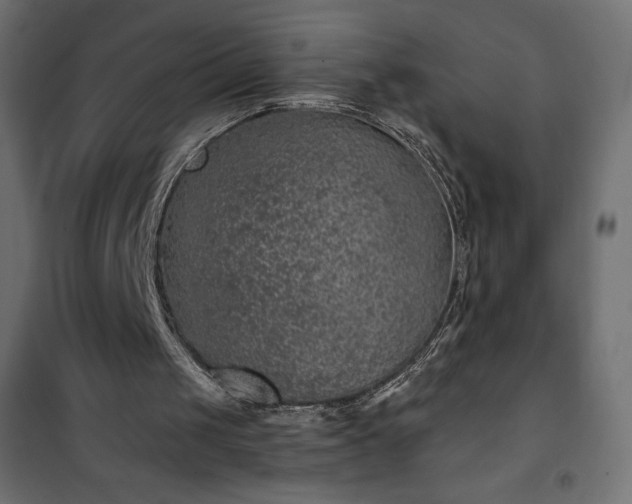 X0000101140049200807071135