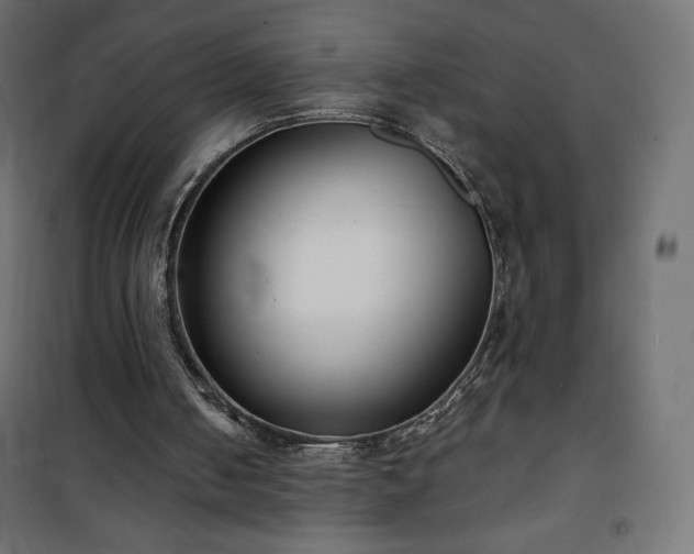 X0000101140050200807071135