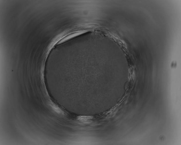 X0000101140051200807071135