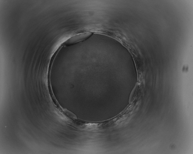 X0000101140052200807071135