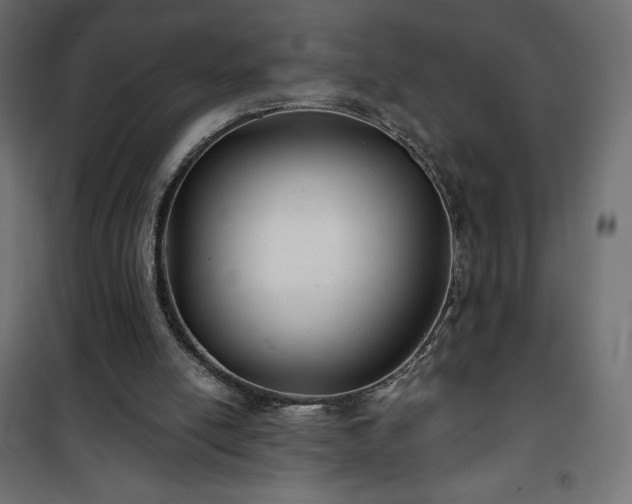 X0000101140054200807071135