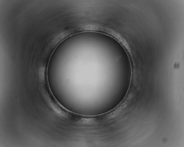 X0000101140057200807071135