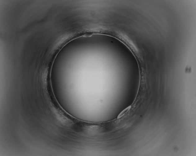 X0000101140058200807071135