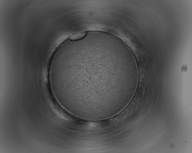 X0000101140060200807071135