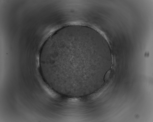 X0000101140061200807071135