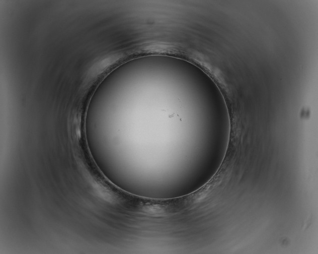 X0000101140062200807071135