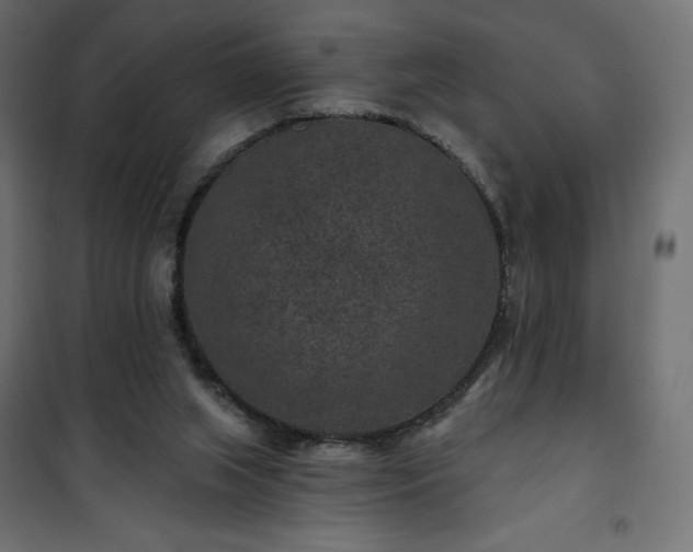 X0000101140063200807071135