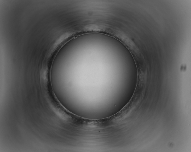 X0000101140064200807071135