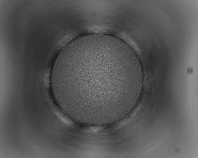 X0000101140065200807071135