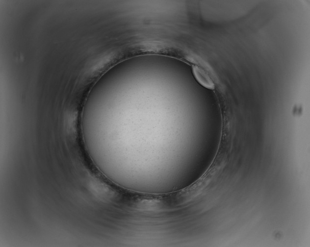 X0000101140066200807071135