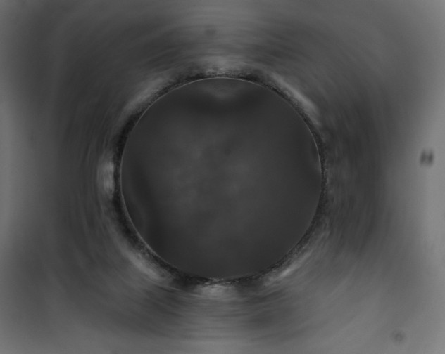 X0000101140067200807071135