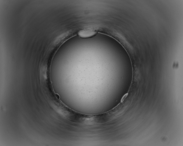 X0000101140068200807071135