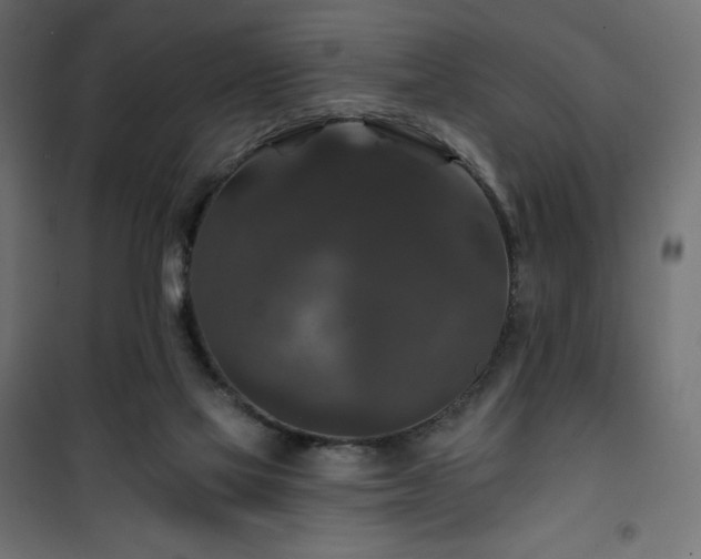 X0000101140069200807071135