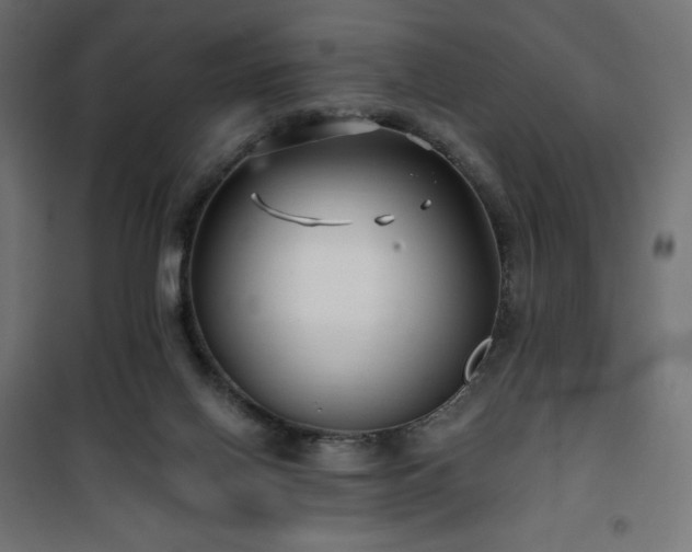 X0000101140070200807071136