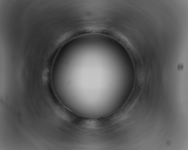 X0000101140071200807071136