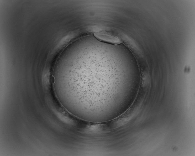 X0000101140072200807071136