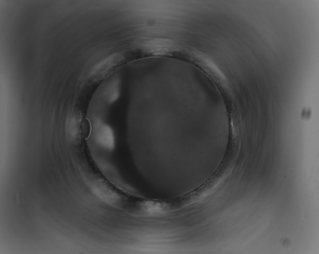 X0000101140073200807071136