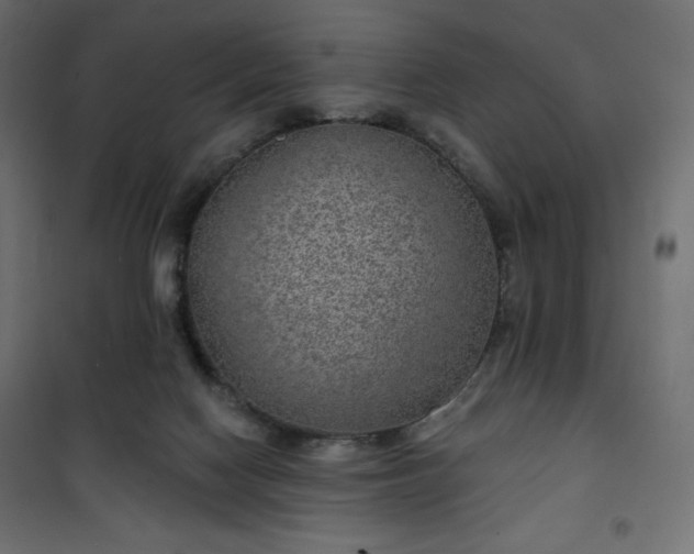 X0000101140074200807071136