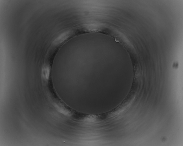 X0000101140076200807071136