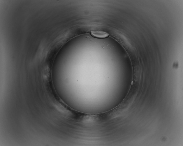 X0000101140077200807071136