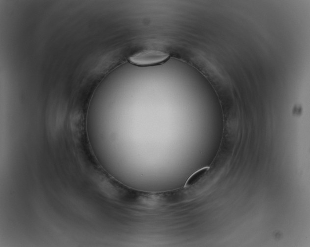 X0000101140079200807071136