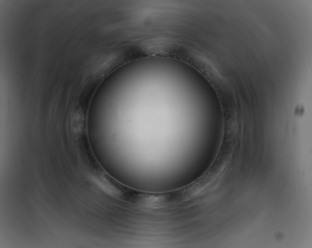 X0000101140081200807071136