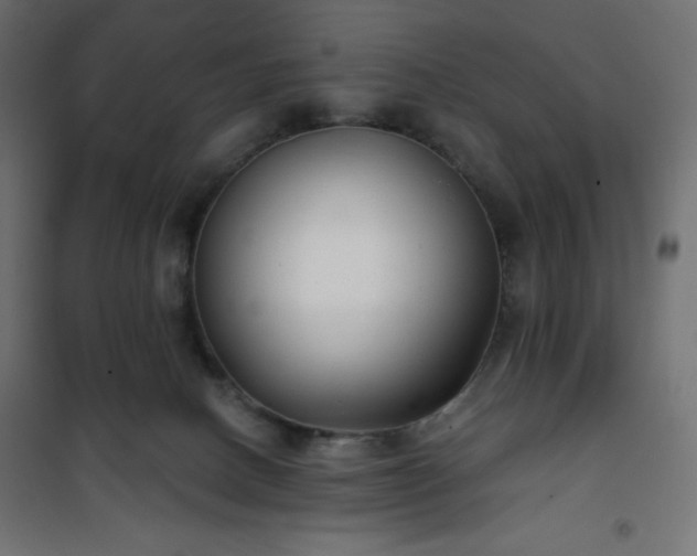 X0000101140082200807071136