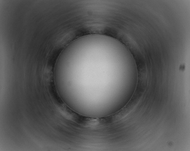 X0000101140083200807071136