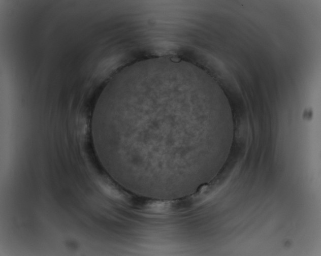 X0000101140084200807071136