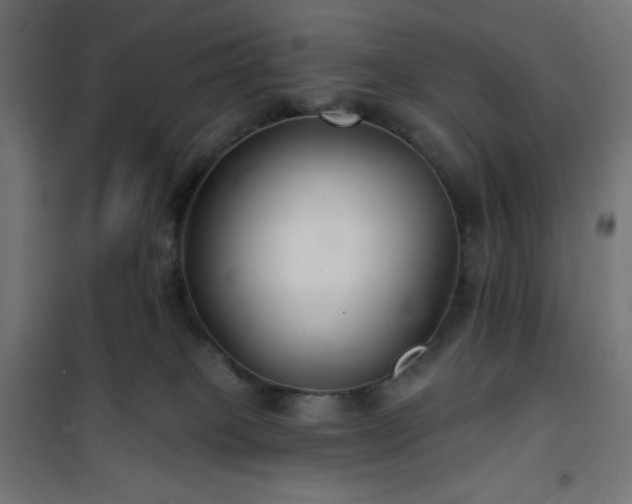 X0000101140085200807071136