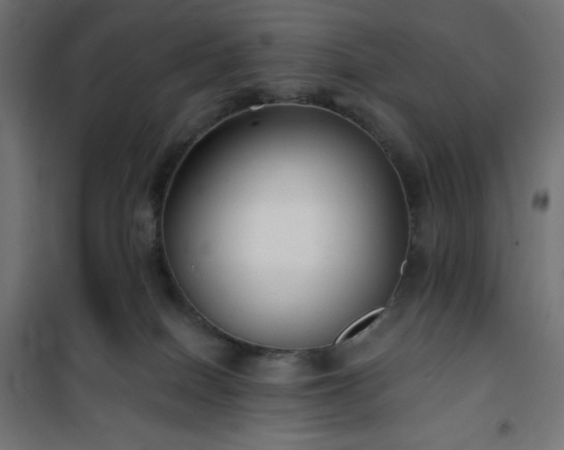 X0000101140086200807071136