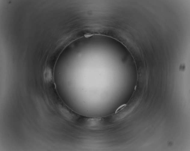 X0000101140089200807071136