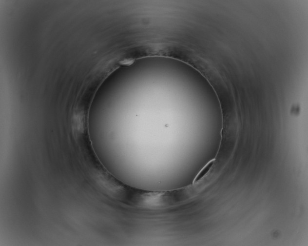 X0000101140090200807071136