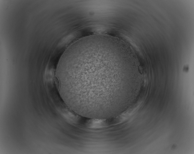 X0000101140093200807071136