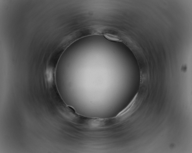 X0000101140094200807071136