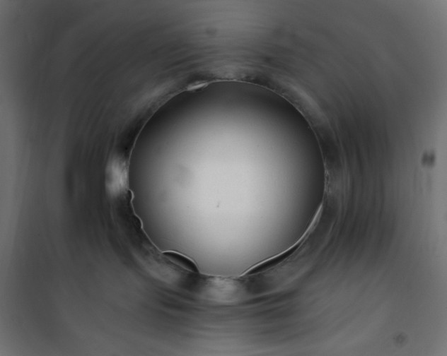 X0000101140095200807071136