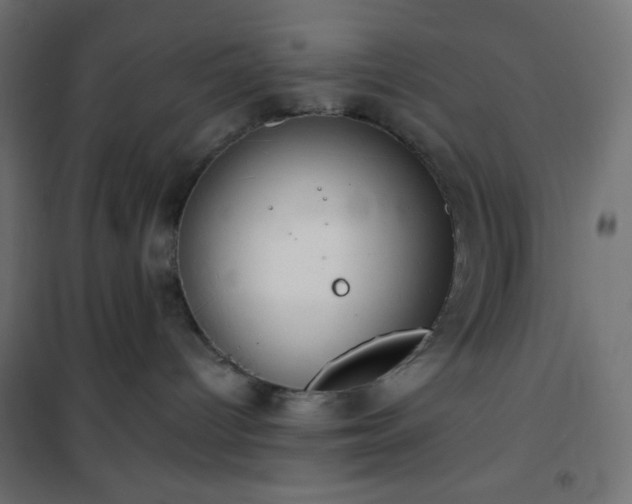 X0000101140096200807071136