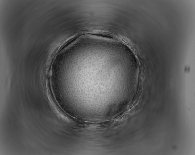 X0000101140097200807071135