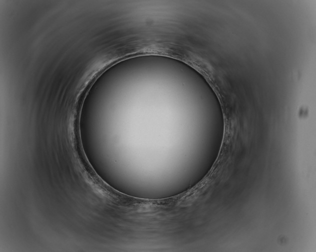 X0000101140098200807071135